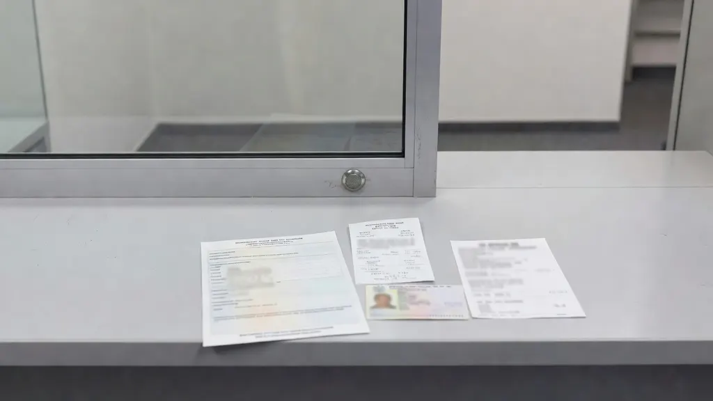 Kto wydaje paszport?